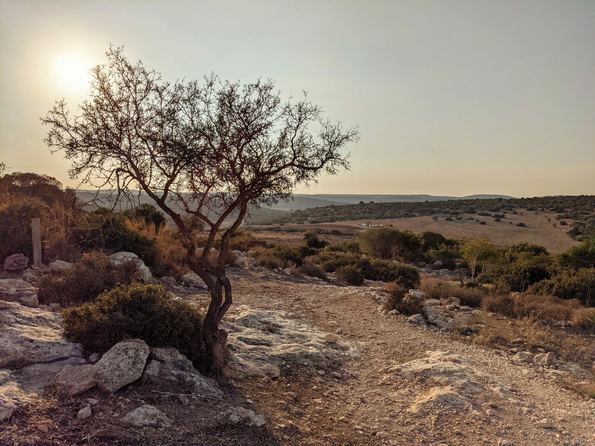 חורבת עתרי בשפלת יהודה, צילום: יוסי אביטל