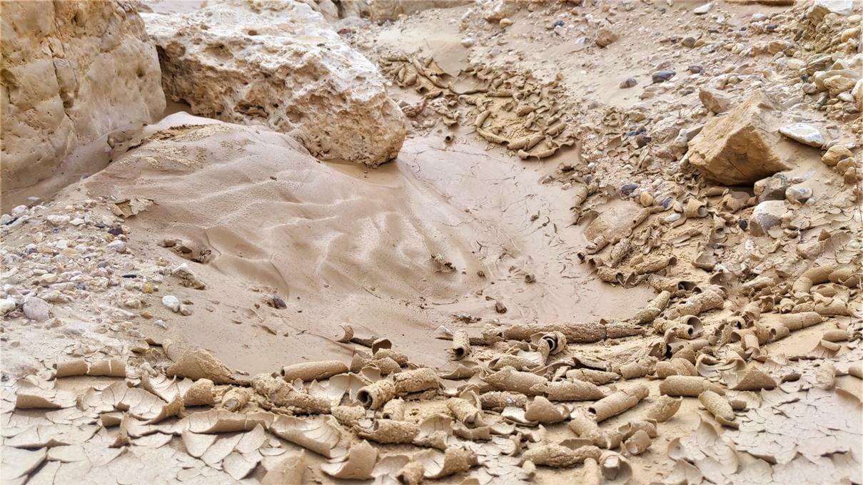 גבים וסחף מים בנחלי הנגב, נחל ממשית, צילום: ד"ר ענת אביטל