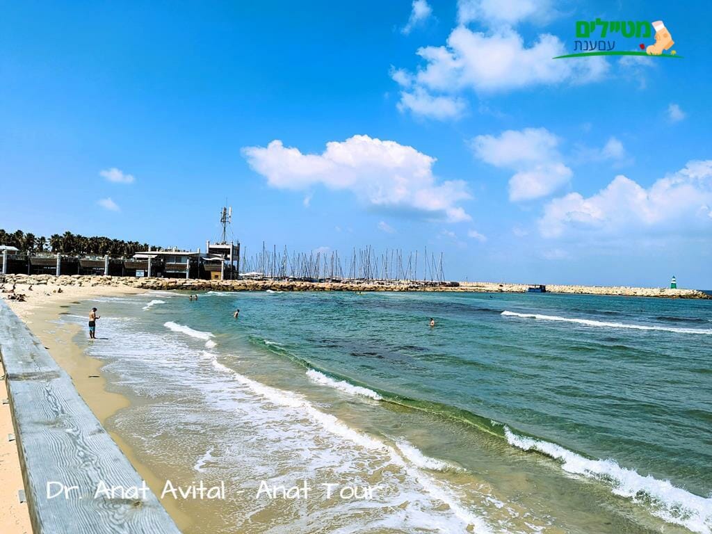 טיילת חוף תל אביב - נמל תל אביב, צילום: ד"ר ענת אביטל