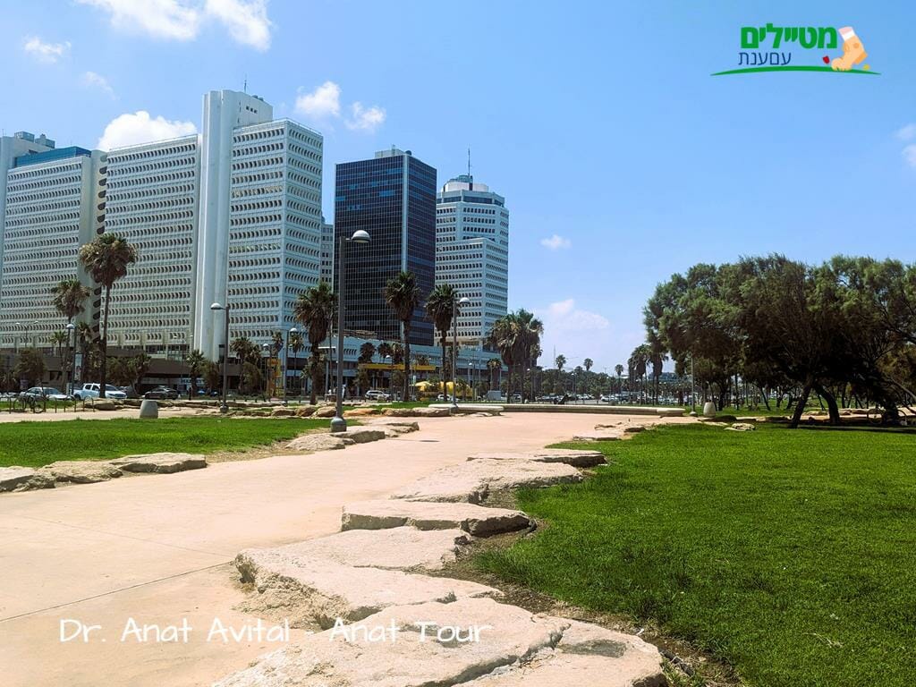 פארק צ'ארלס קלור חוף תל אביב, צילום: ד"ר ענת אביטל