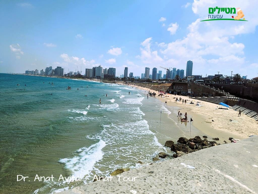 טיילת חופי תל אביב, ברגל ובאופניים, חופים, מדשאות ומתקנים, צילום: ד"ר ענת אביטל