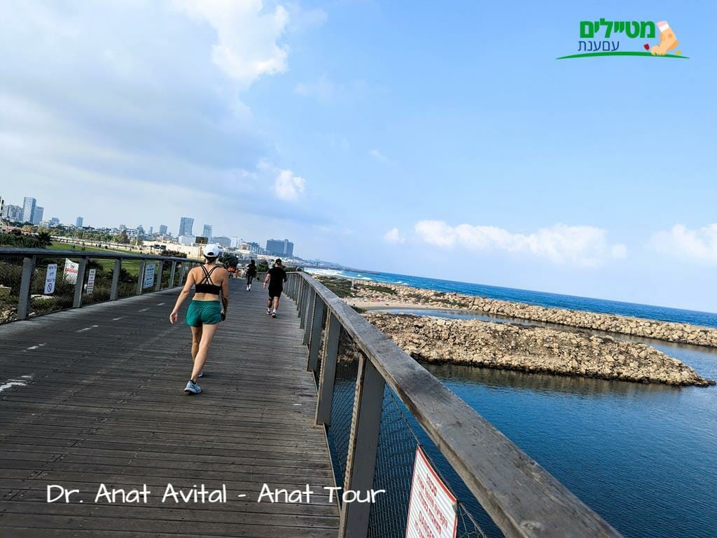 טיילת נמל תל אביב ברגל ובאופניים, שביל ישראל, צילום: ד"ר ענת אביטל