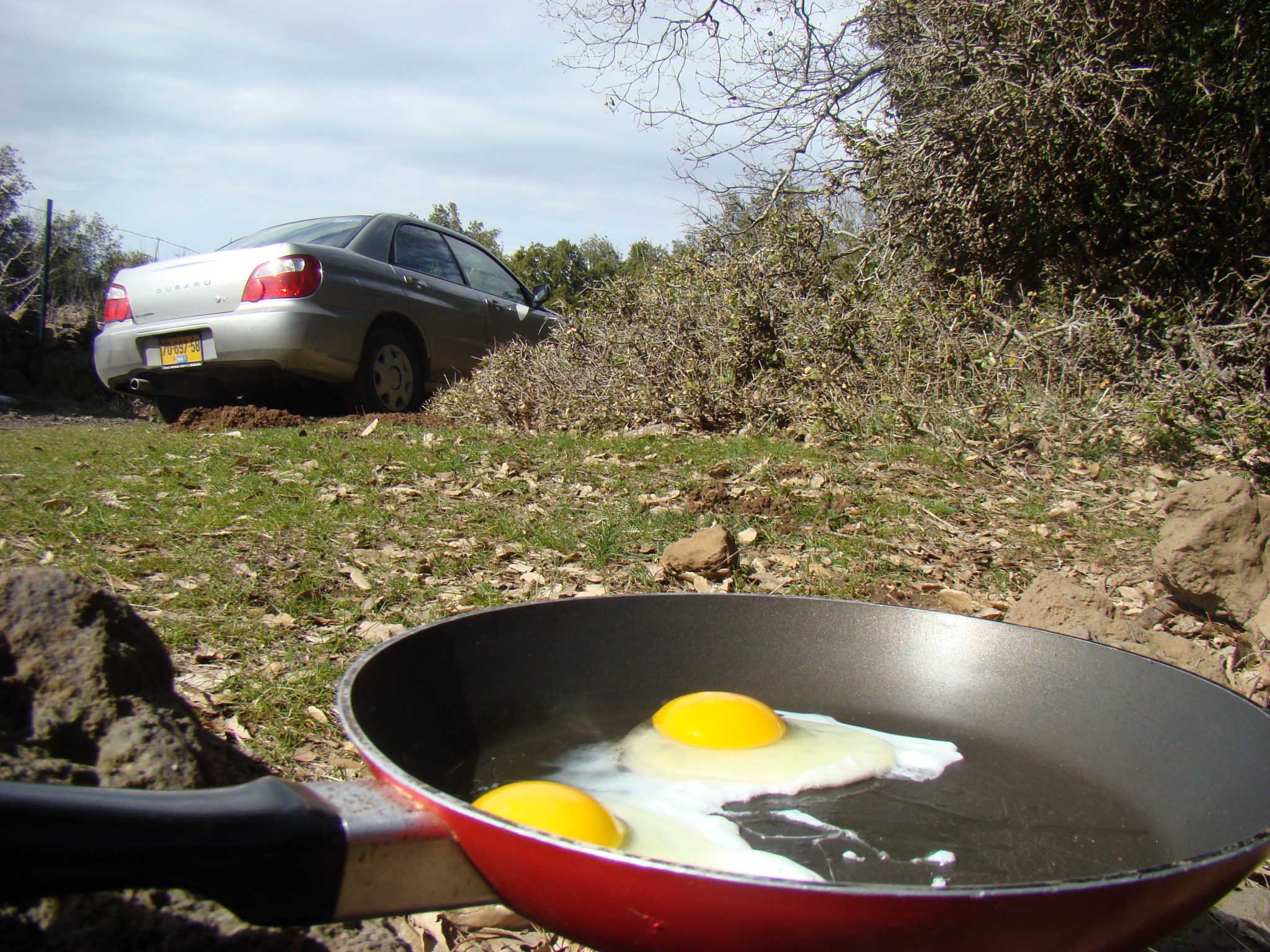 ארוחת בוקר ביער אודם (צילום: ד"ר ענת אביטל)