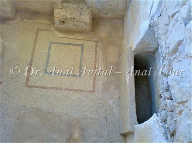 פסיפס חדר הרחצה בארמון המערבי של הורדוס במצדה, צילום: ד"ר ענת אביטל