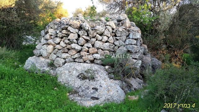 גלי סיקול אבנים וגדרות אבן, גבעת שר מודיעין (צילום: ד"ר ענת אביטל)