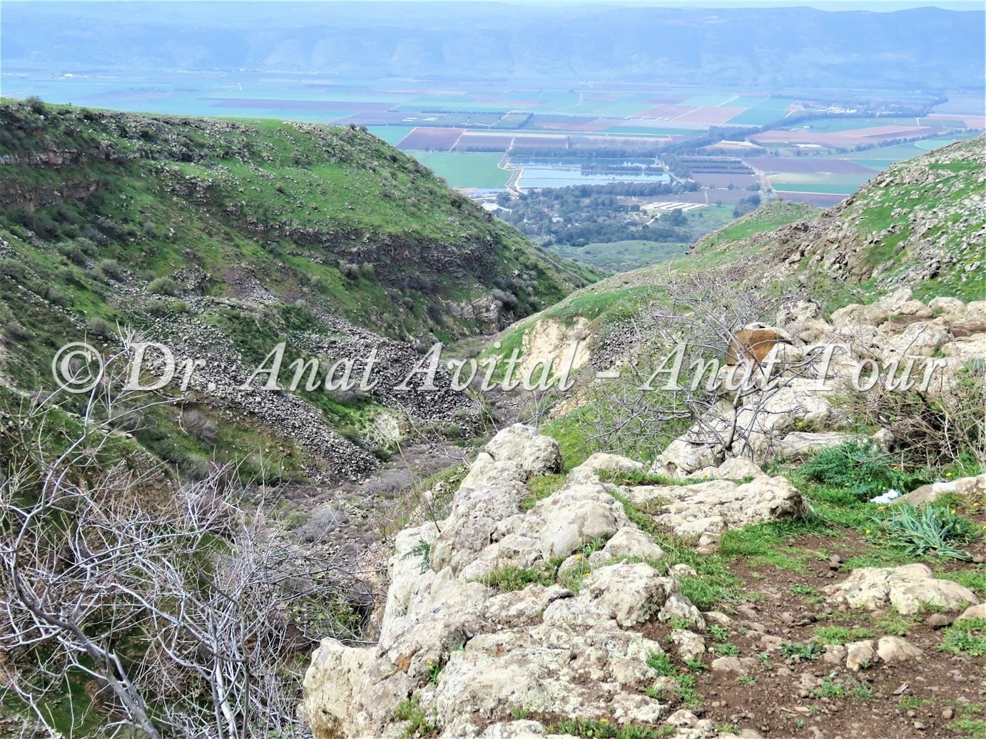 נופי בקעת החולה מנחל עורבים בצפון הגולן, צילום: ד"ר ענת אביטל