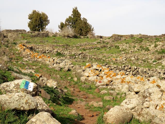 שביל הגולן, חורבת פרג' (פארג', פראג') מזרח-מרכז הגולן, צילום: ד"ר ענת אביטל