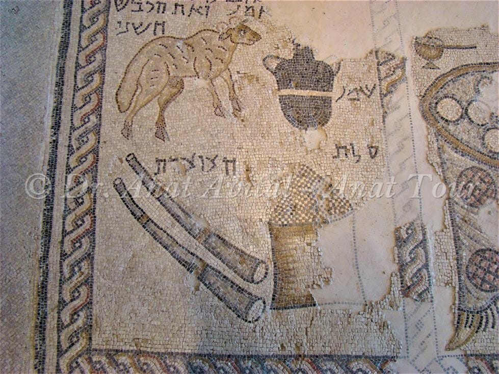 פנל המקדש והקורבנות, פסיפס בית הכנסת העתיק של ציפורי, צילום: ד"ר ענת אביטל