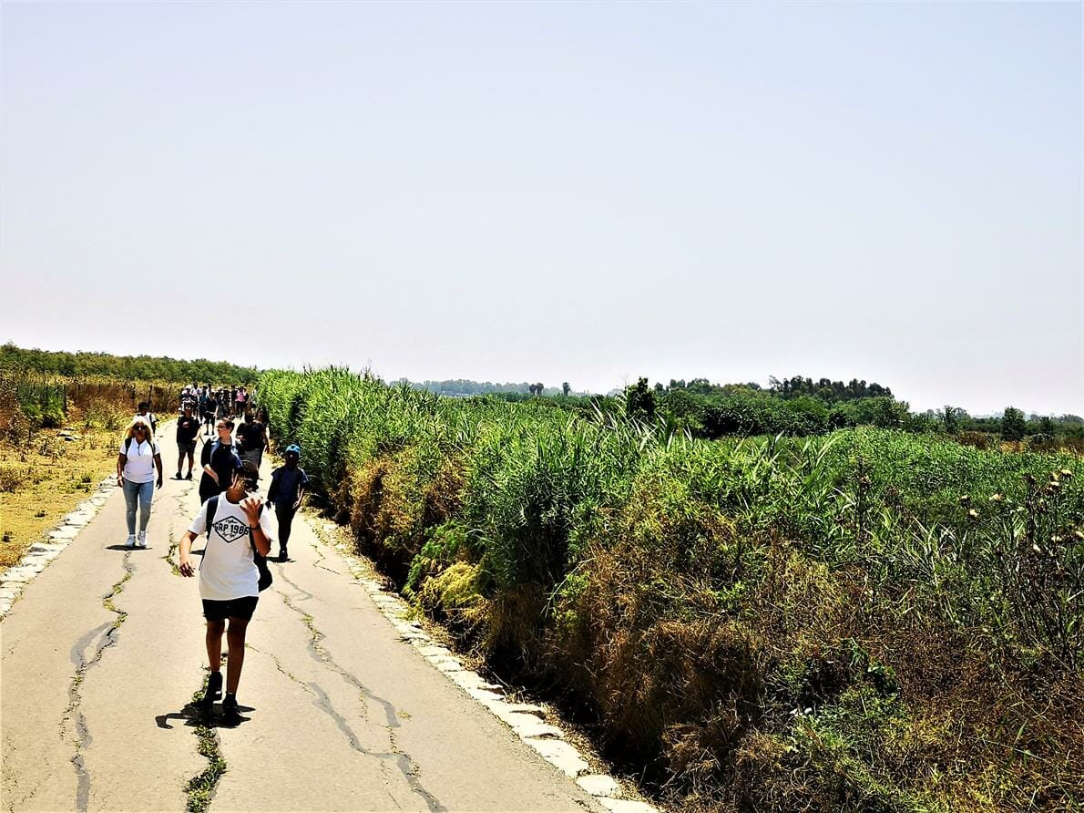 נחל אלכסנדר טיילת פארק גשר הצבים, שביל ישראל, צילום: ד"ר ענת אביטל