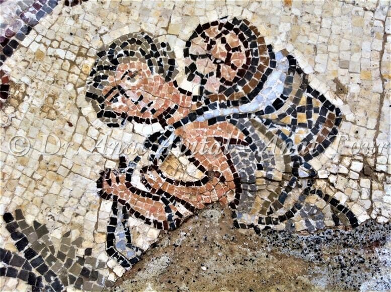 אדם נושא סל ענבים מהכרם, פסיפס מקיסריה העתיקה מערבית לקמרונות הנמל, צילום: ד"ר ענת אביטל