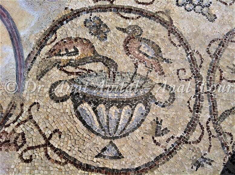 זוג סייפנים על קערת מים, פסיפס מקיסריה העתיקה מערבית לקמרונות הנמל, צילום: ד"ר ענת אביטל