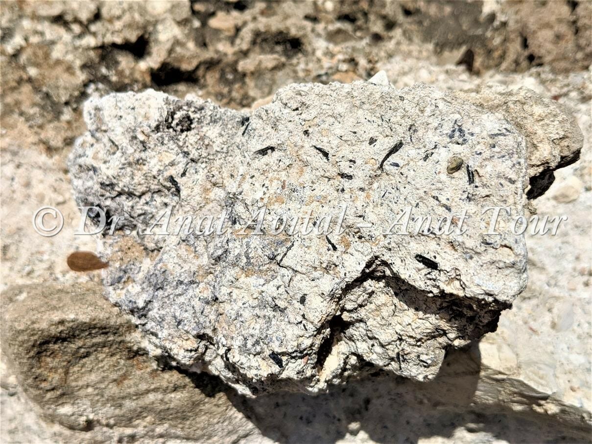 שבר טיח הידראולי מהאמה הרומית הנמוכה בקיסריה, צילום: ד"ר ענת אביטל
