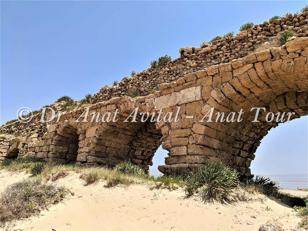טבלת אזניים באמה הרומית הגבוהה בחוף אקוודוקט קיסריה, צילום: ד"ר ענת אביטל