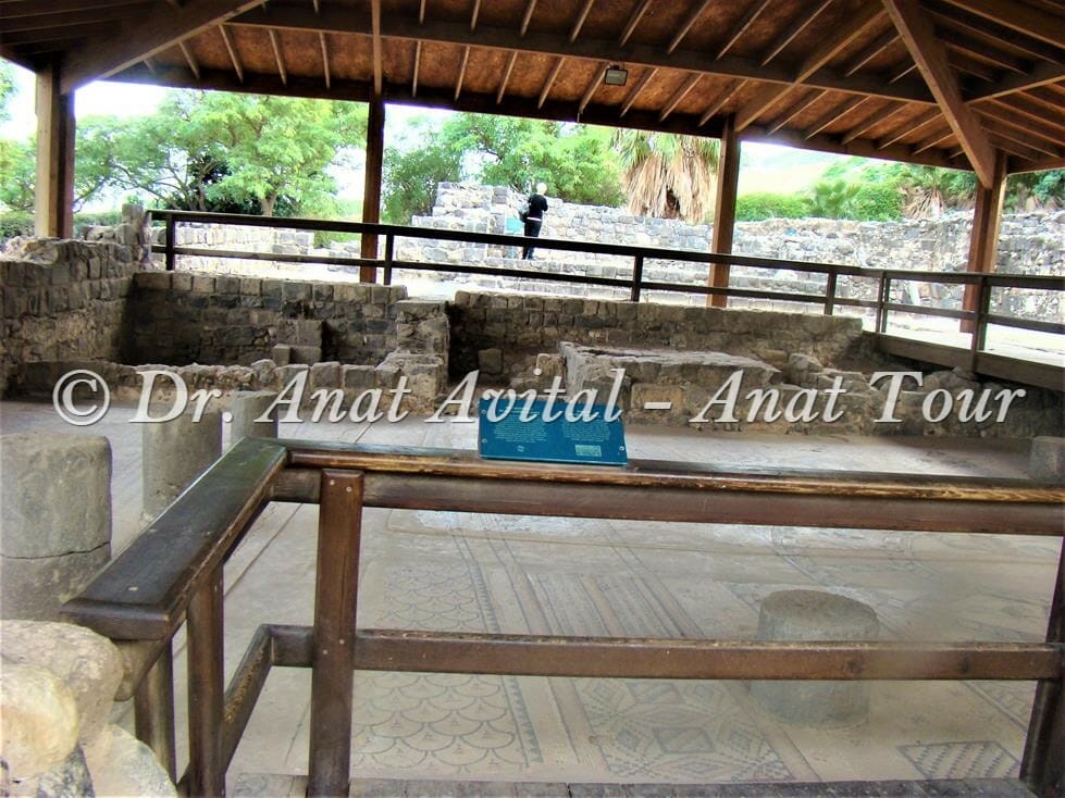 פסיפס גן לאומי בית כנסת חמת טבריה, צילום: ד"ר ענת אביטל