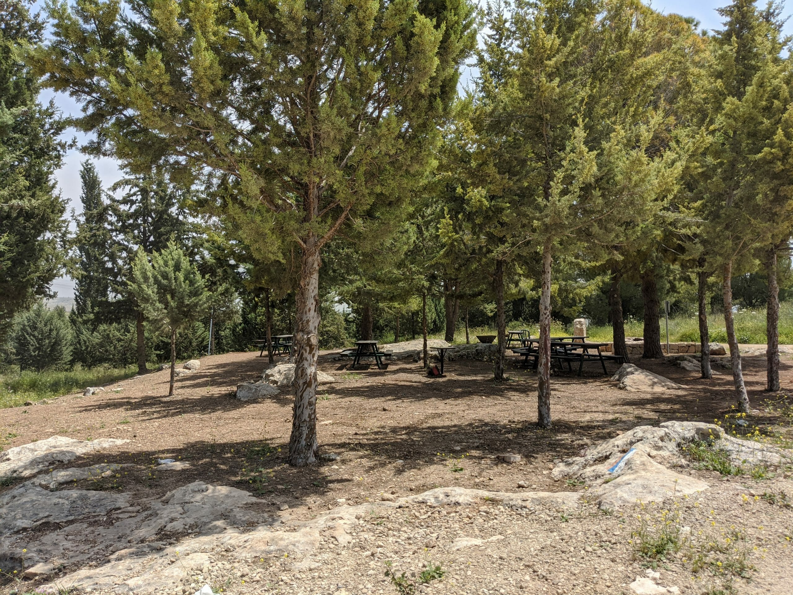 פארק יער שוהם, חניון שולחנות ושביל ישראל, צילום: ד"ר ענת אביטל