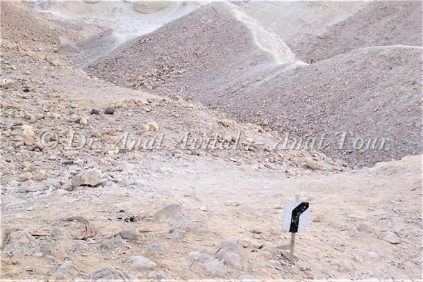 נחל חווארי מצדה במדבר יהודה, צילום: ד"ר ענת אביטל