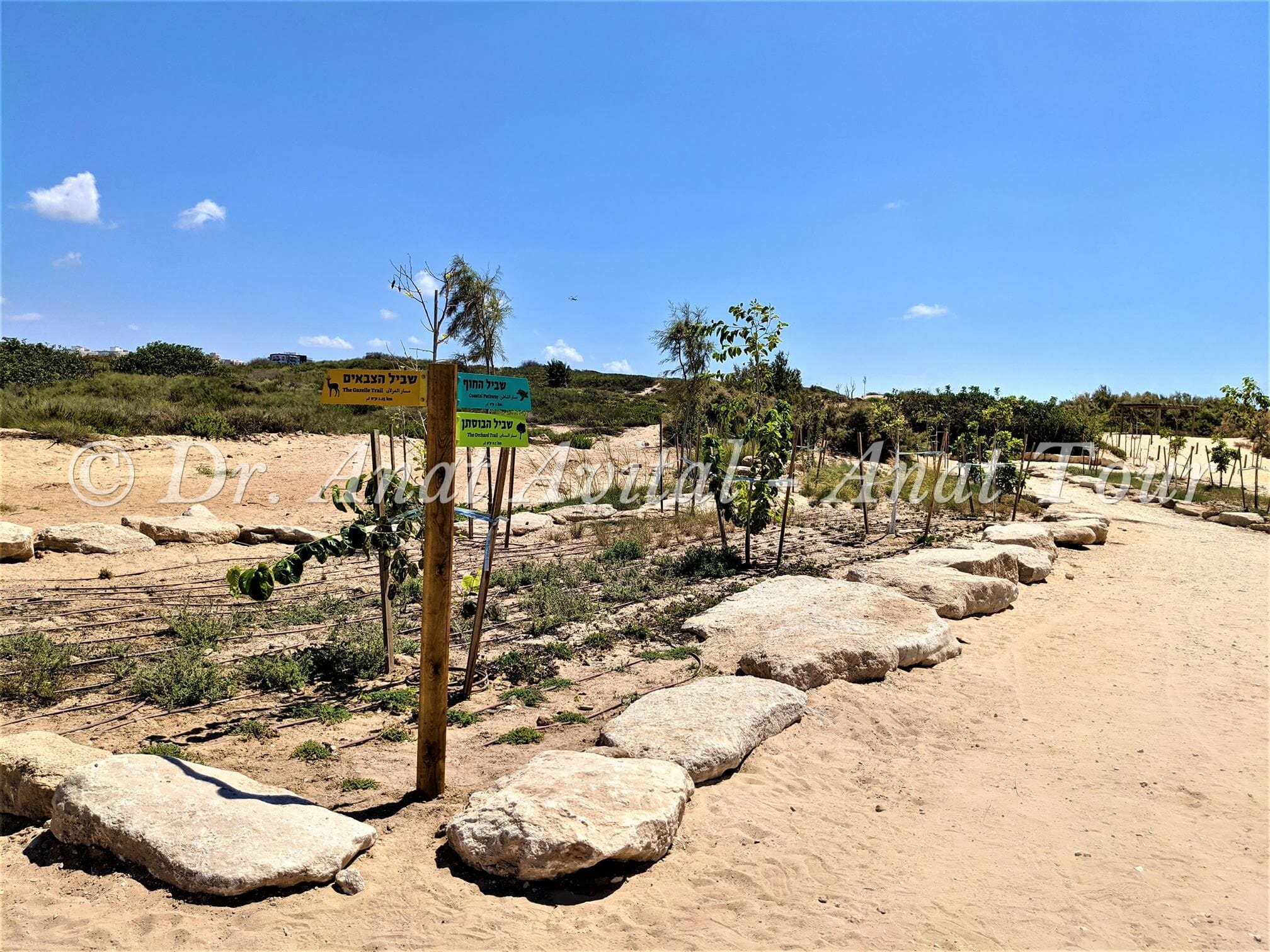 פארק אקולוגי מצודת אשדוד ים, צילום: ד"ר ענת אביטל