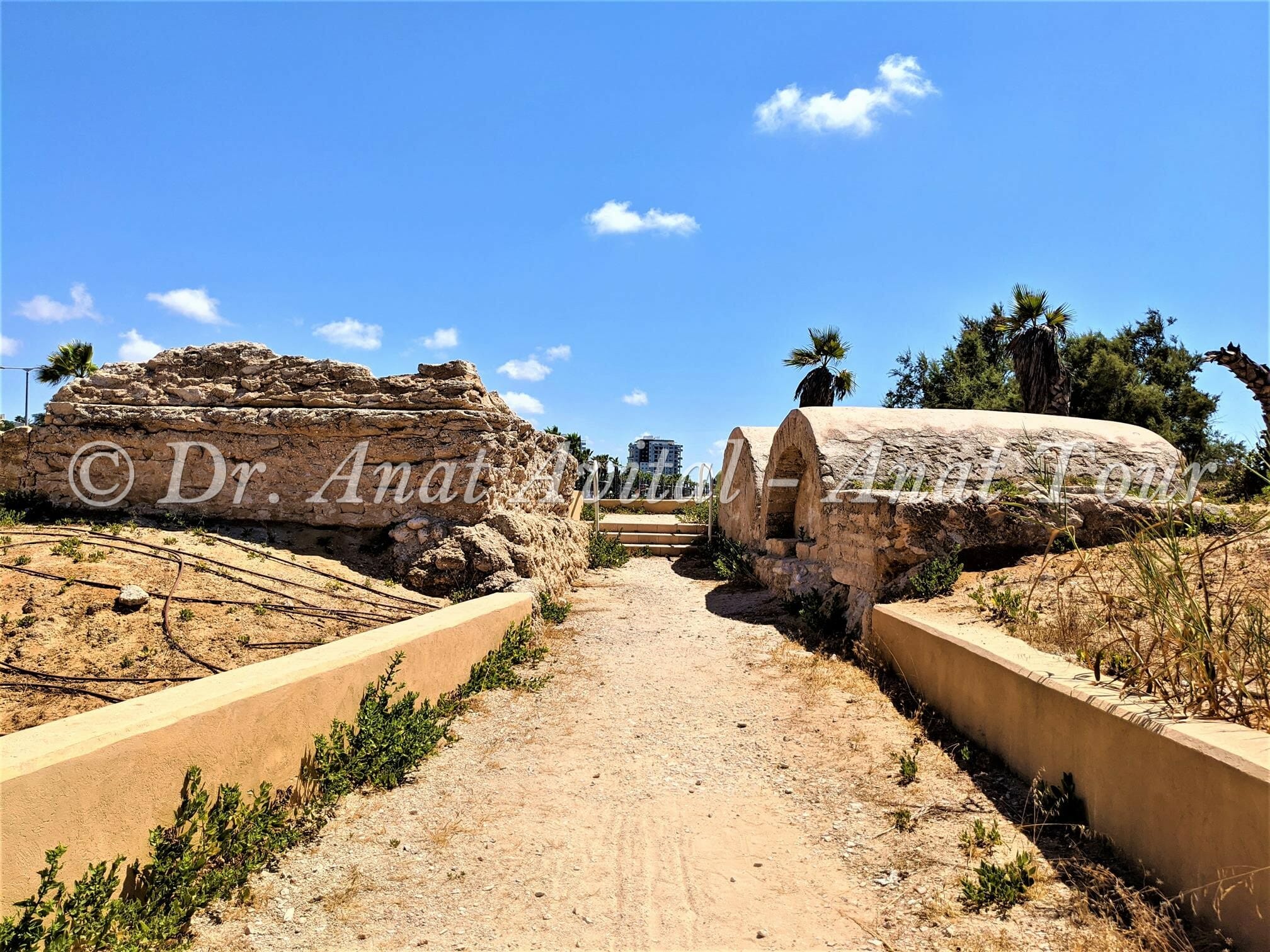 אחוזות קבר ליד מצודת אשדוד ים, צילום: ד"ר ענת אביטל