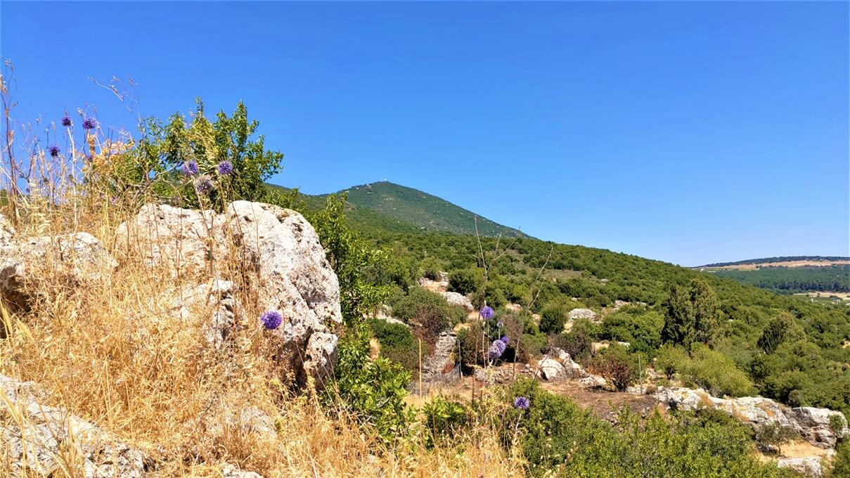 נוף הר מירון מבית הכנסת העתיק של מירון, צילום: ד"ר ענת אביטל
