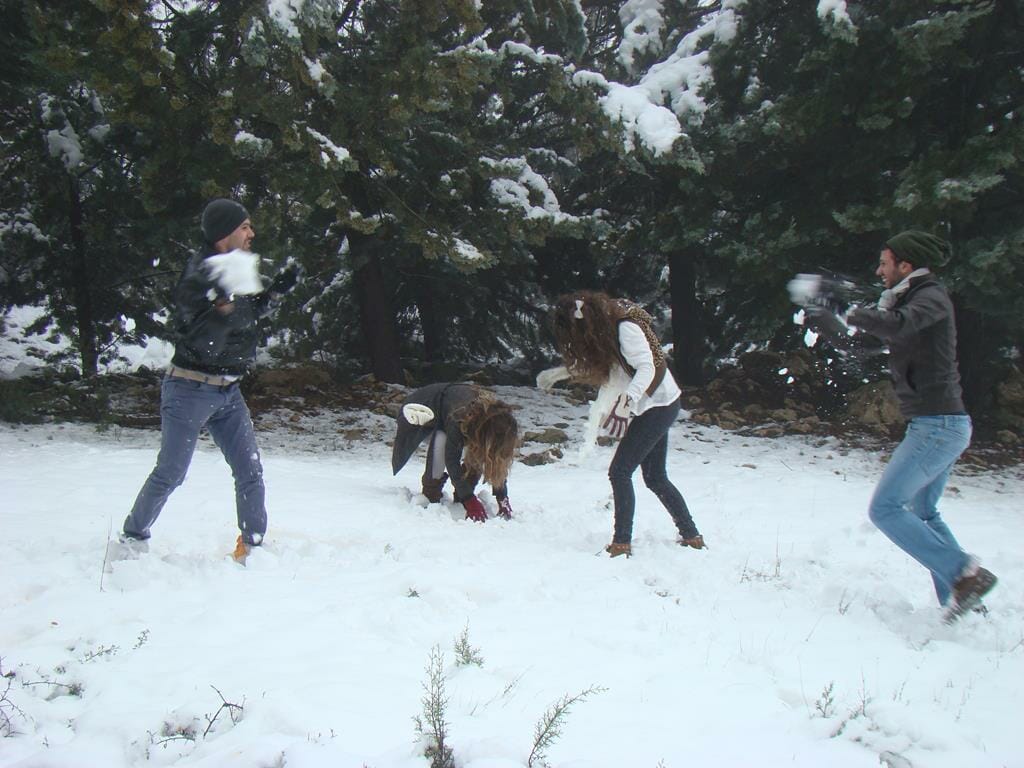 משחקים עם הילדים בכדורי שלג בין האורנים במעטה שלג לבן, הרי יהודה וירושלים, צילום: יוסי אביטל
