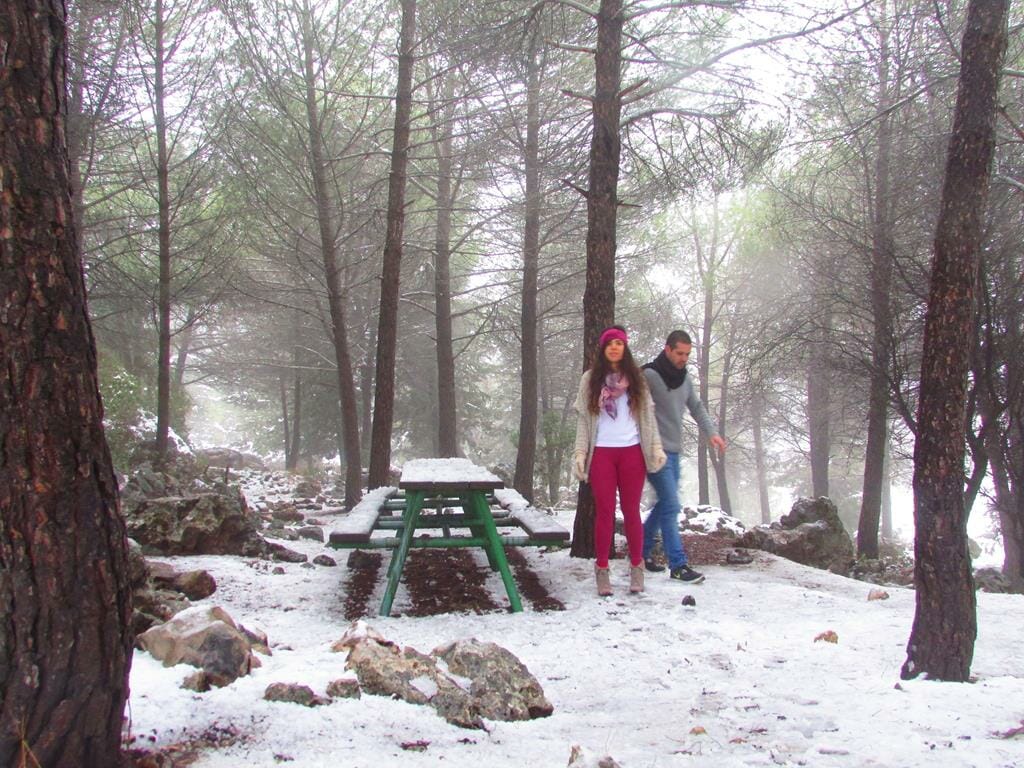 טיולי משפחה בשלג ובבוץ ביערות קק"ל, צילום: יוסי אביטל