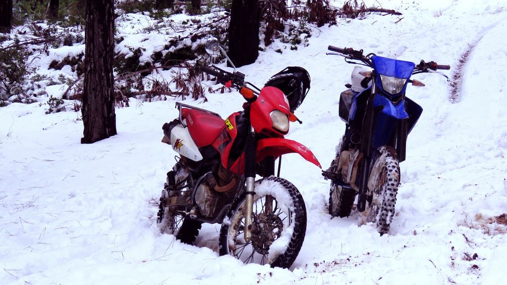 טיולי רכב שטח 4*4 ואופנועים בשלג ובבוץ ביערות קק"ל, צילום: חני אביטל