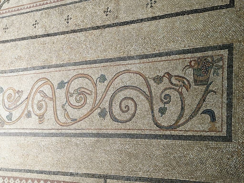 שריג הפרדה בין פנלים בפסיפס לוד של וילה רומית מדהימה ביופיה, ממש כמו ברומא, צילום: ד"ר ענת אביטל