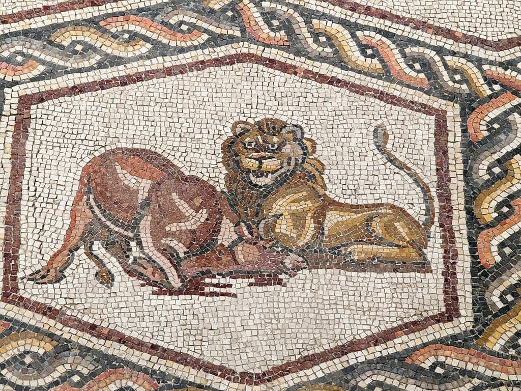 אריה טורף פר בפסיפס לוד: פסיפס וילה רומית מדהים ביופיו, ממש כמו ברומא, צילום: ד"ר ענת אביטל