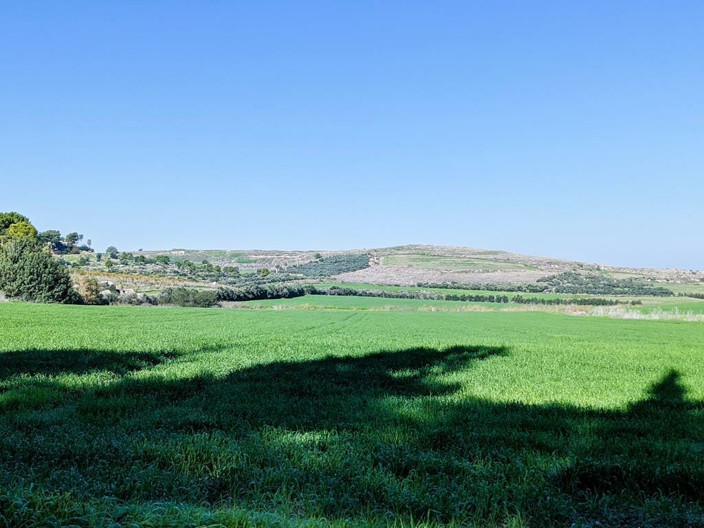 תל גזר והשדות שמסביב, צילום: ד"ר ענת אביטל