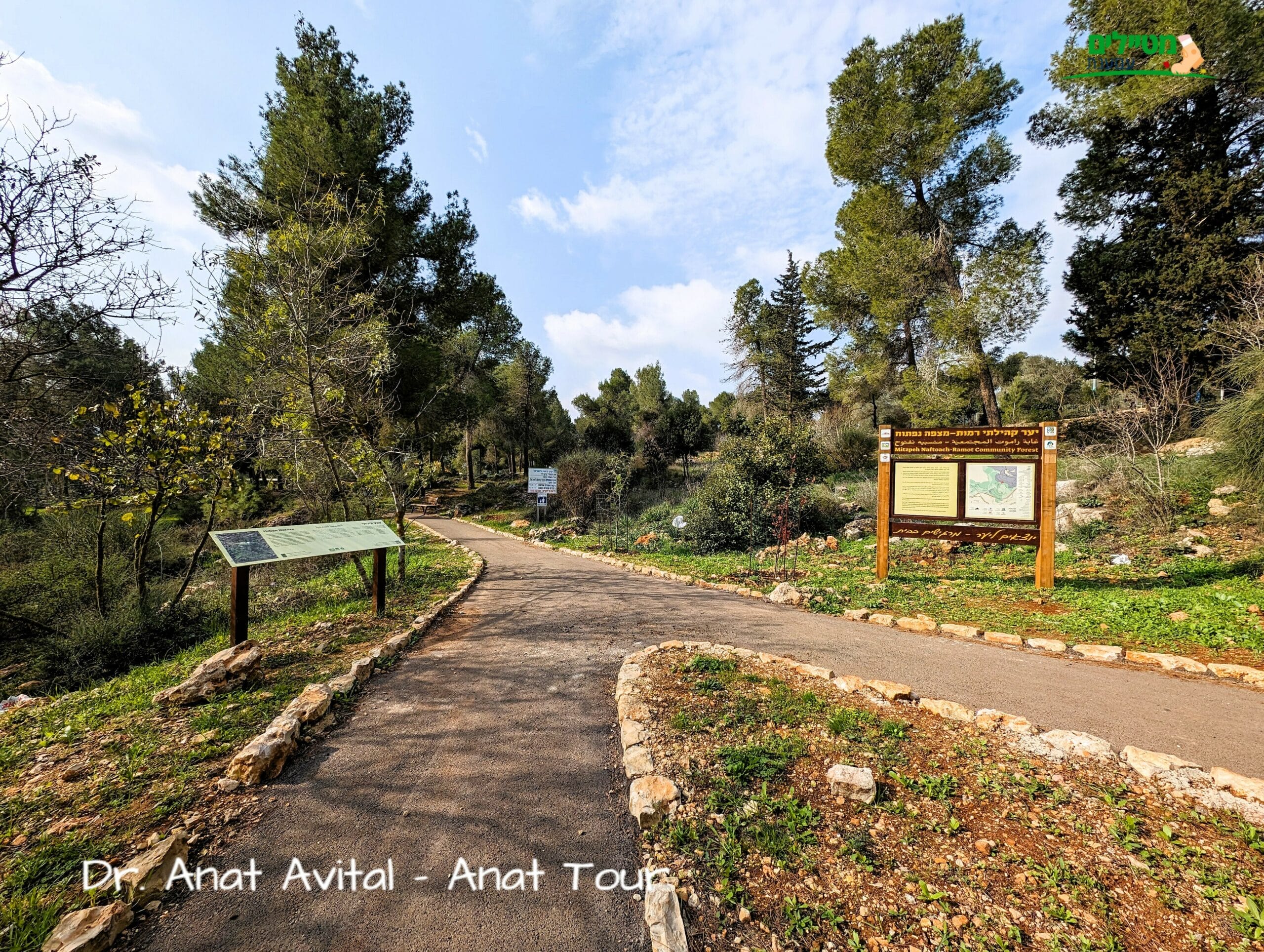 יער קהילתי רמות ירושלים, חניון יום ופריחה, צילום: ד"ר ענת אביטל