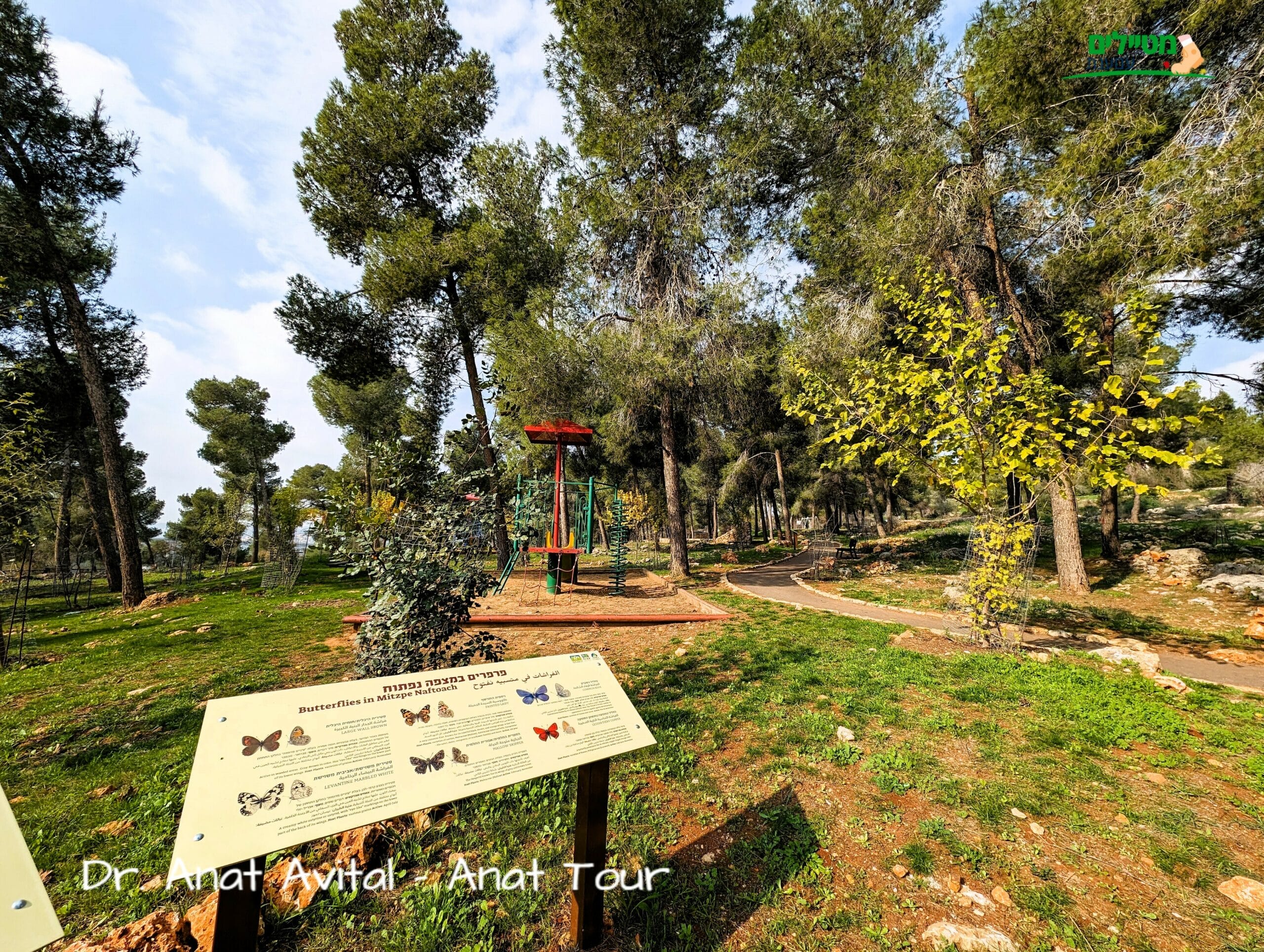 יער קהילתי רמות ירושלים, חניון יום ופריחה, צילום: ד"ר ענת אביטל