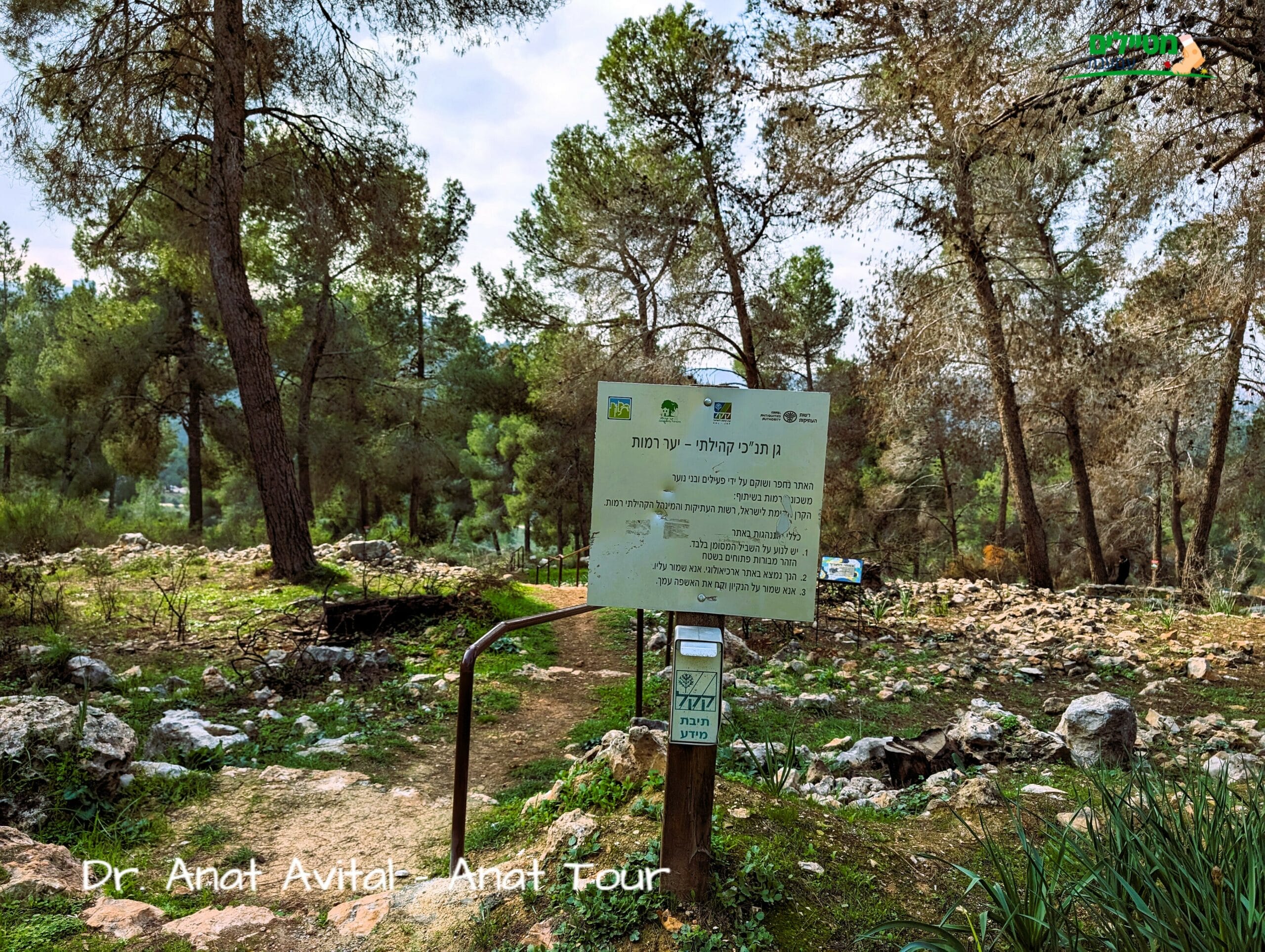 פארק התנ"ך, יער קהילתי רמות ירושלים, חניון יום ופריחה, צילום: ד"ר ענת אביטל