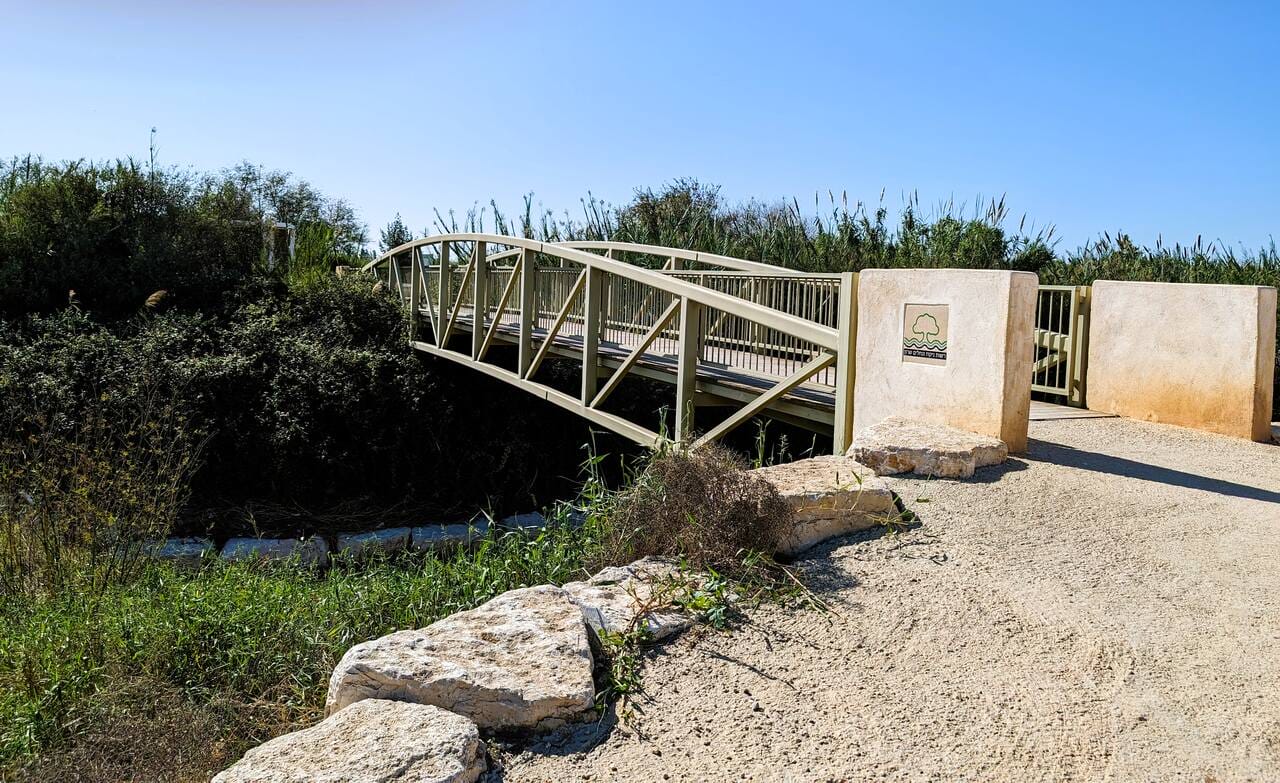 גשר על נחל אלכסנדר בכניסה אל אגמון חפר, צילום: ד"ר ענת אביטל