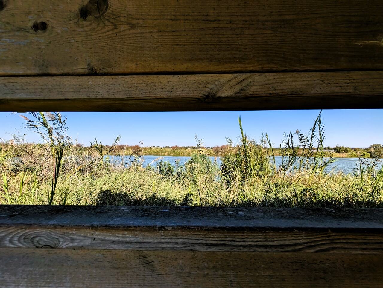 חלון אל אגמון חפר על נחל אלכסנדר, מחסה תצפית לעופות המים, צילום: ד"ר ענת אביטל
