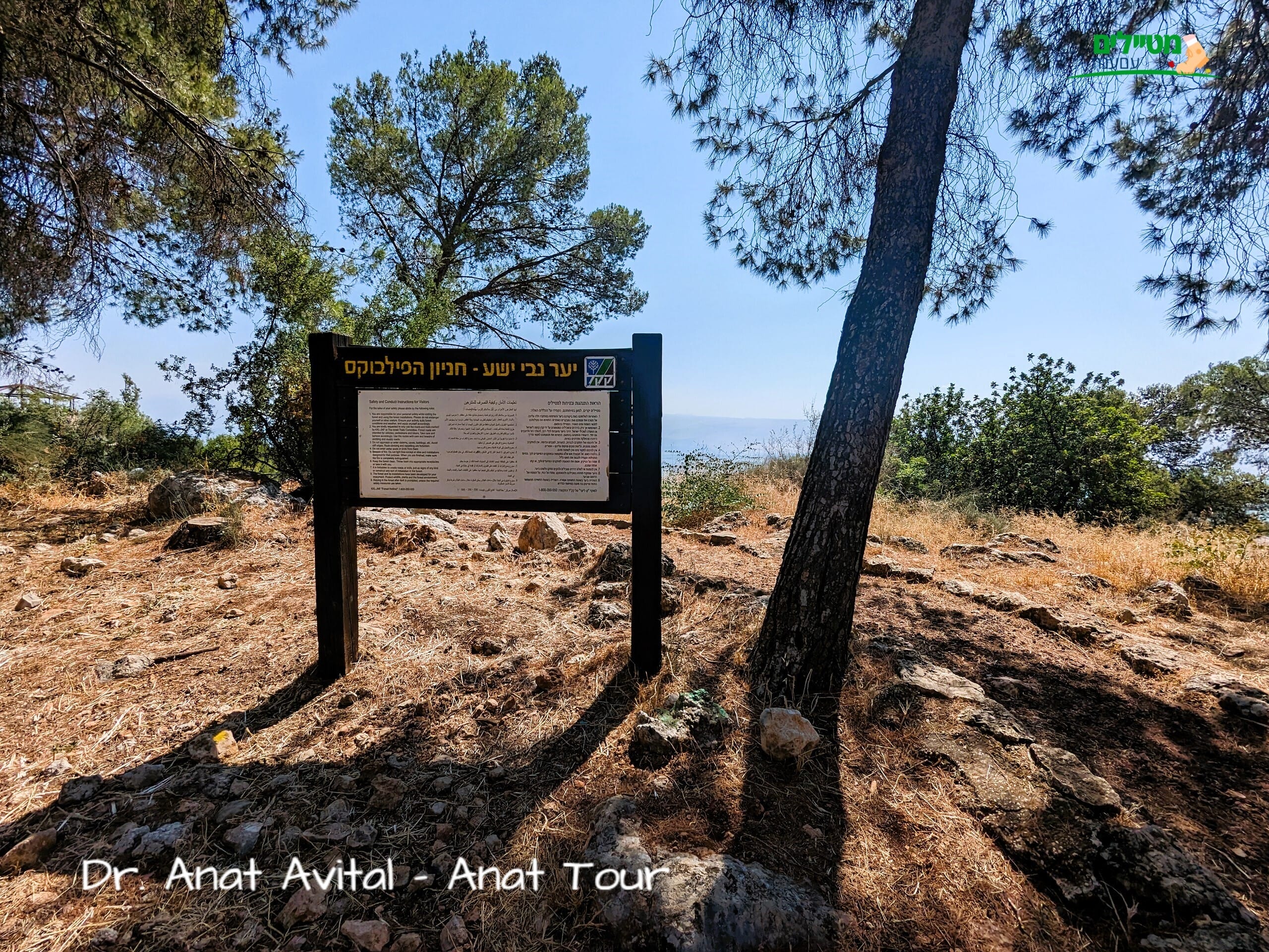 נחל קדש חניון יער נבי ישע- פילבוקס, שביל ישראל אתגרי, צילום: ד"ר ענת אביטל