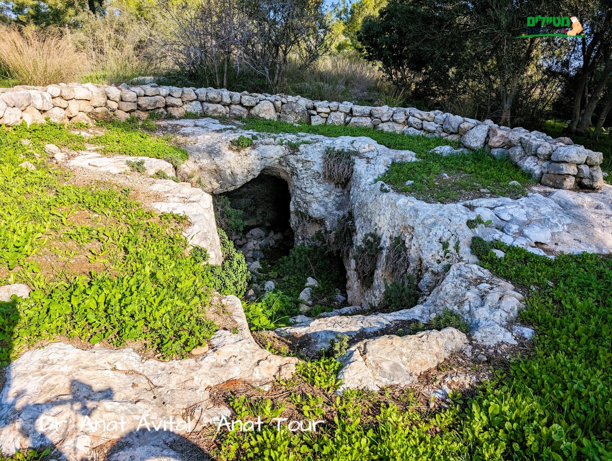 יער אשתאול ודרך בורמה-שביל ישראל מקטע 22: יער אורנים וחורש, חניונים ...