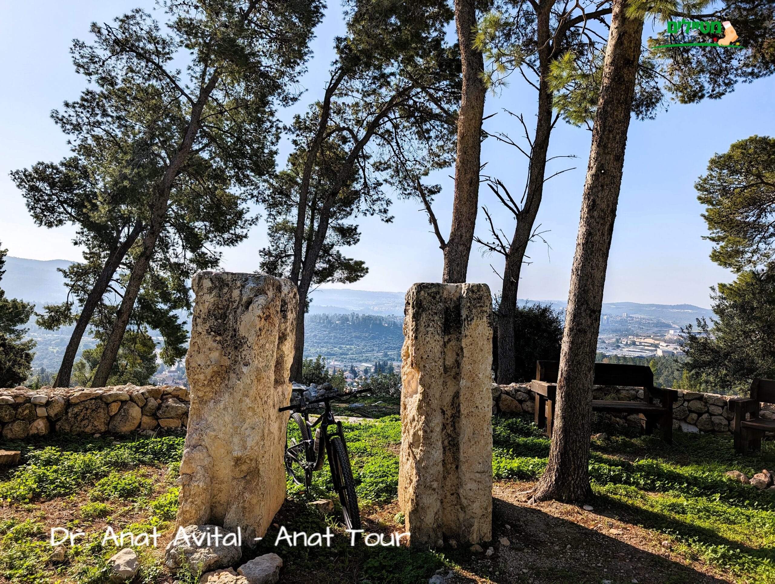טיול אופניים - בתולות בית הבד מול נוף מטרף בחניון הארבעה ביער אשתאול, צילום: ד"ר ענת אביטל
