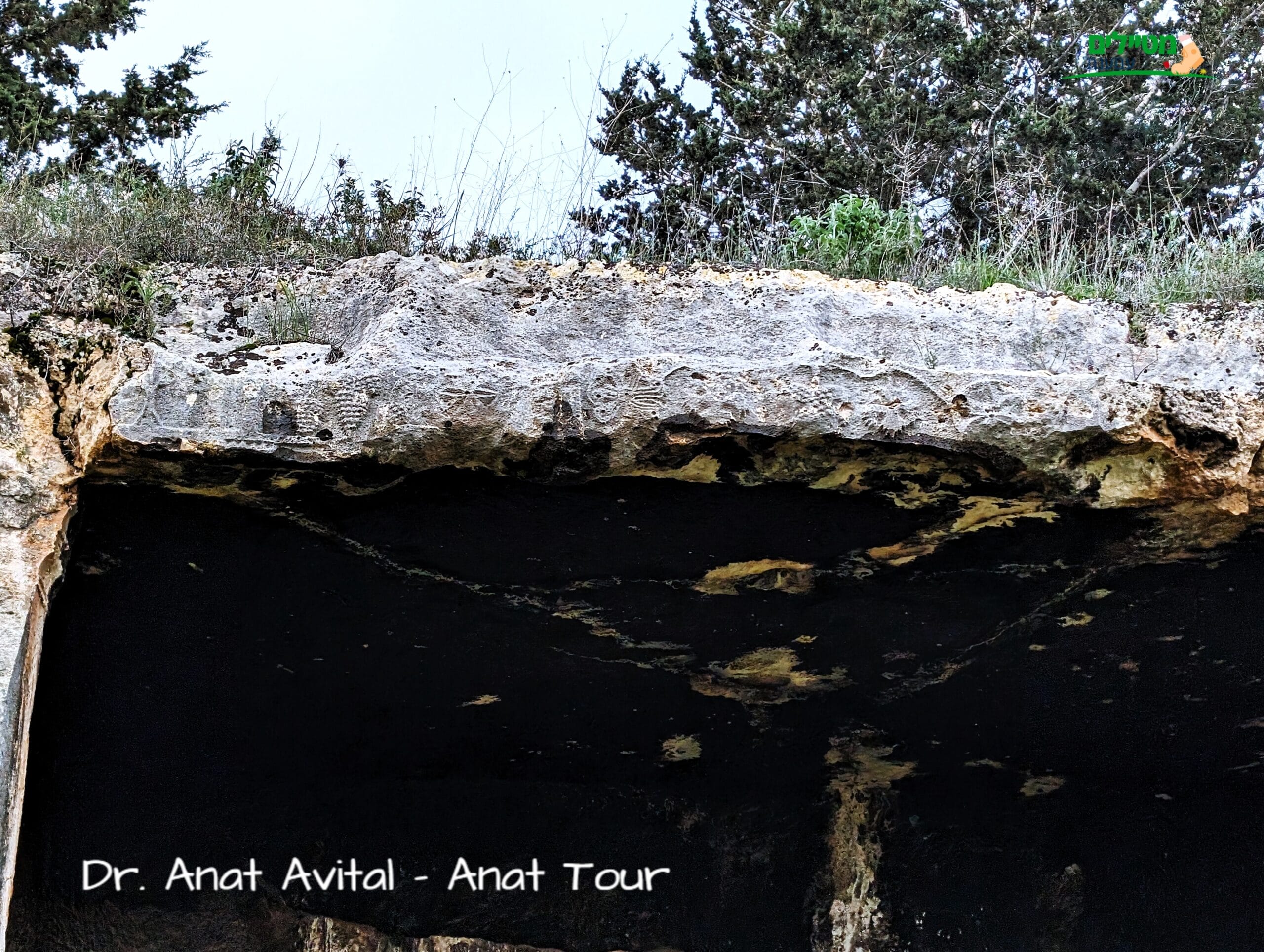 עיטורי גפן על חזית מערת קבורה מקטע עבוד (בית אריה) יהודית מימי הבית השני, צילום: ד"ר ענת אביטל