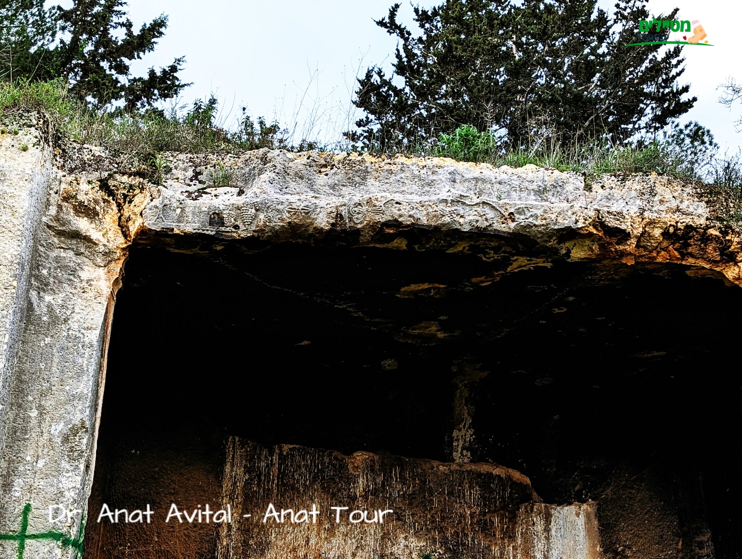 עיטורי גפן על חזית מערת קבורה מקטע עבוד (בית אריה) יהודית מימי הבית השני, צילום: ד"ר ענת אביטל