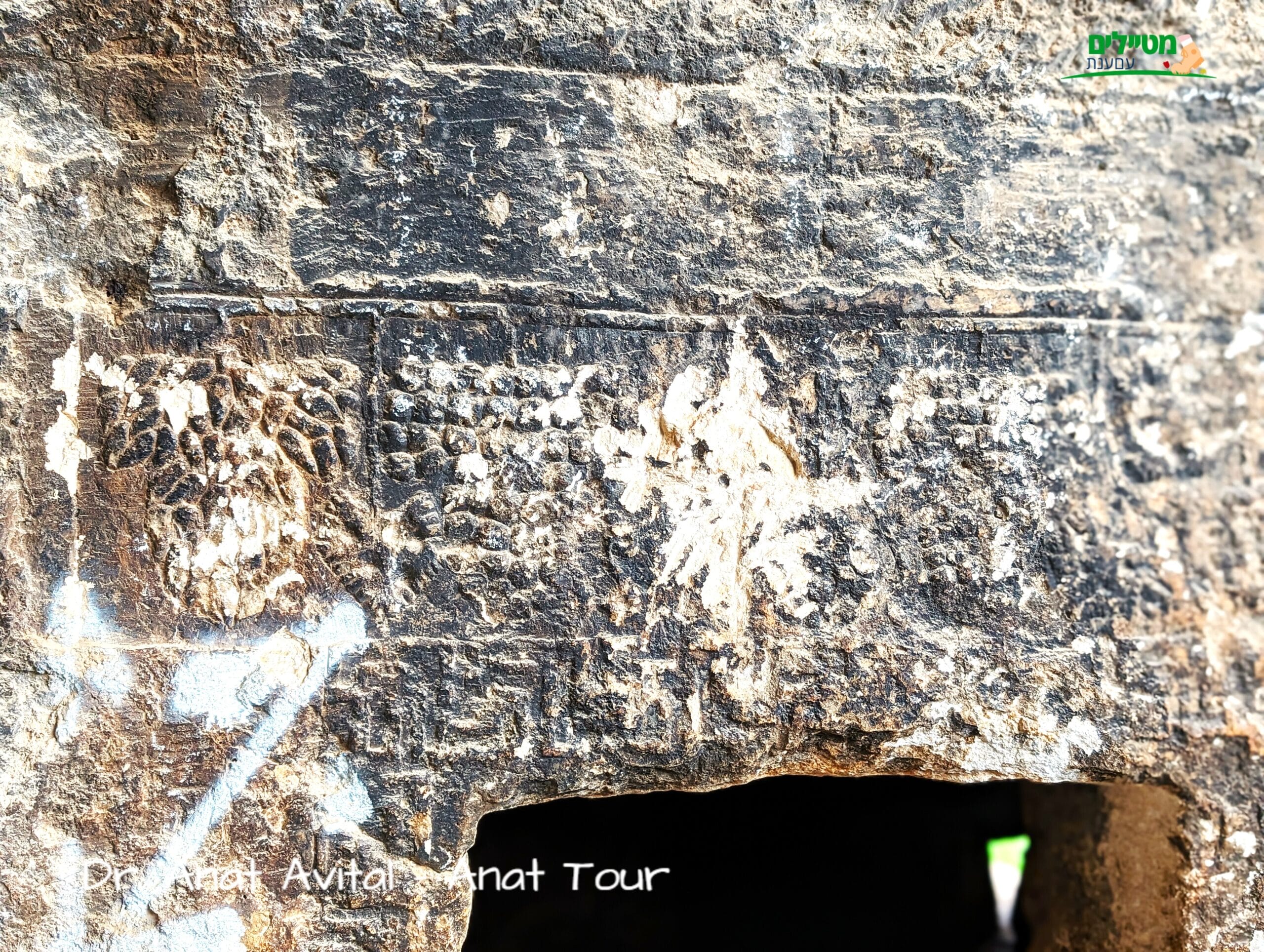 עיטורי גפן בכניסה לחדר קבורה מערות מקטע עבוד (בית אריה) יהודית מימי הבית השני, צילום: ד"ר ענת אביטל