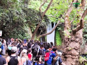 מל הבניאס הזורם בעוצמה – טבע בטיול תלמידי תוכנית היל"ה של עיריית תל אביב, צילום: אודי אביטל