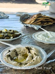 מבחר מאכלים בטיול: פריסת שטח עם פיתות על סאג׳, חומוס, לבאנה וזעתר ושוקולד למריחה. צילום: ד"ר ענת אביטל