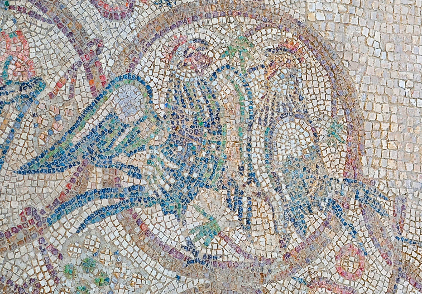 קרב תרנגולים בפסיפס קפלת הקבורה באל חמאם, בית שאן, עדות איקונוגרפית למסורת קרבות התרנגולים בתקופה הביזנטית.
