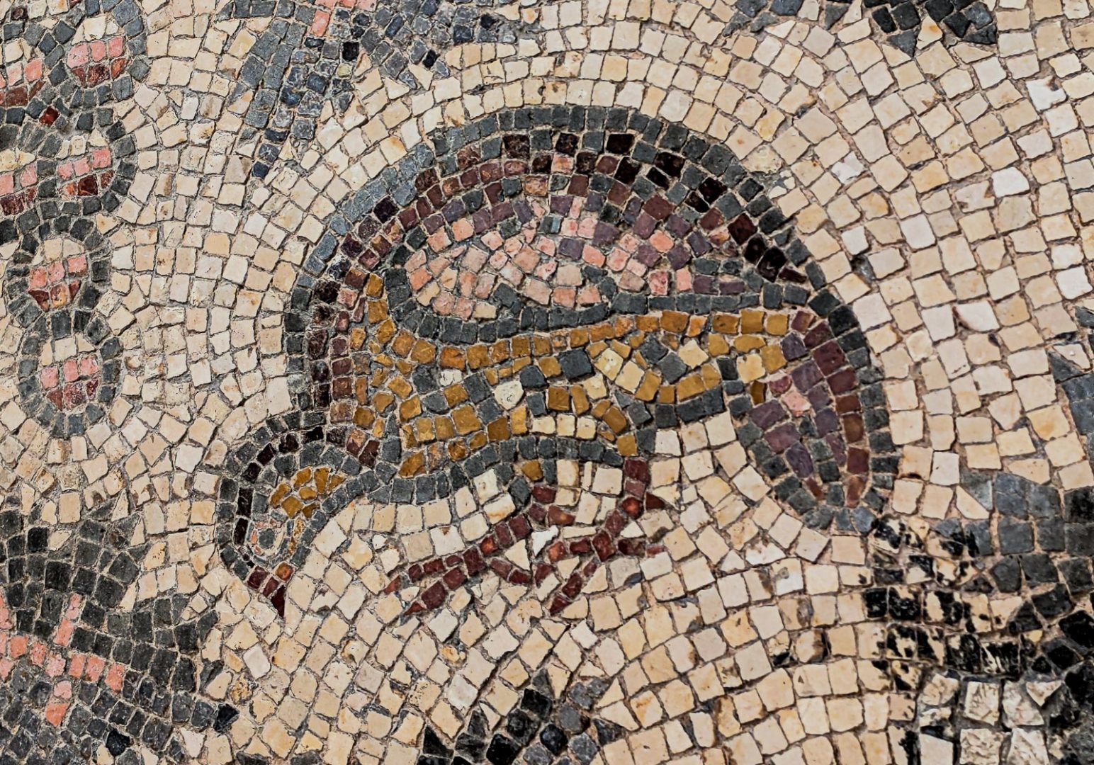 חוגלת סלעים (Ammoperdix heyi) בתנוחת ניקור מזון מהקרקע, פסיפס הציפורים הארמני בירושלים