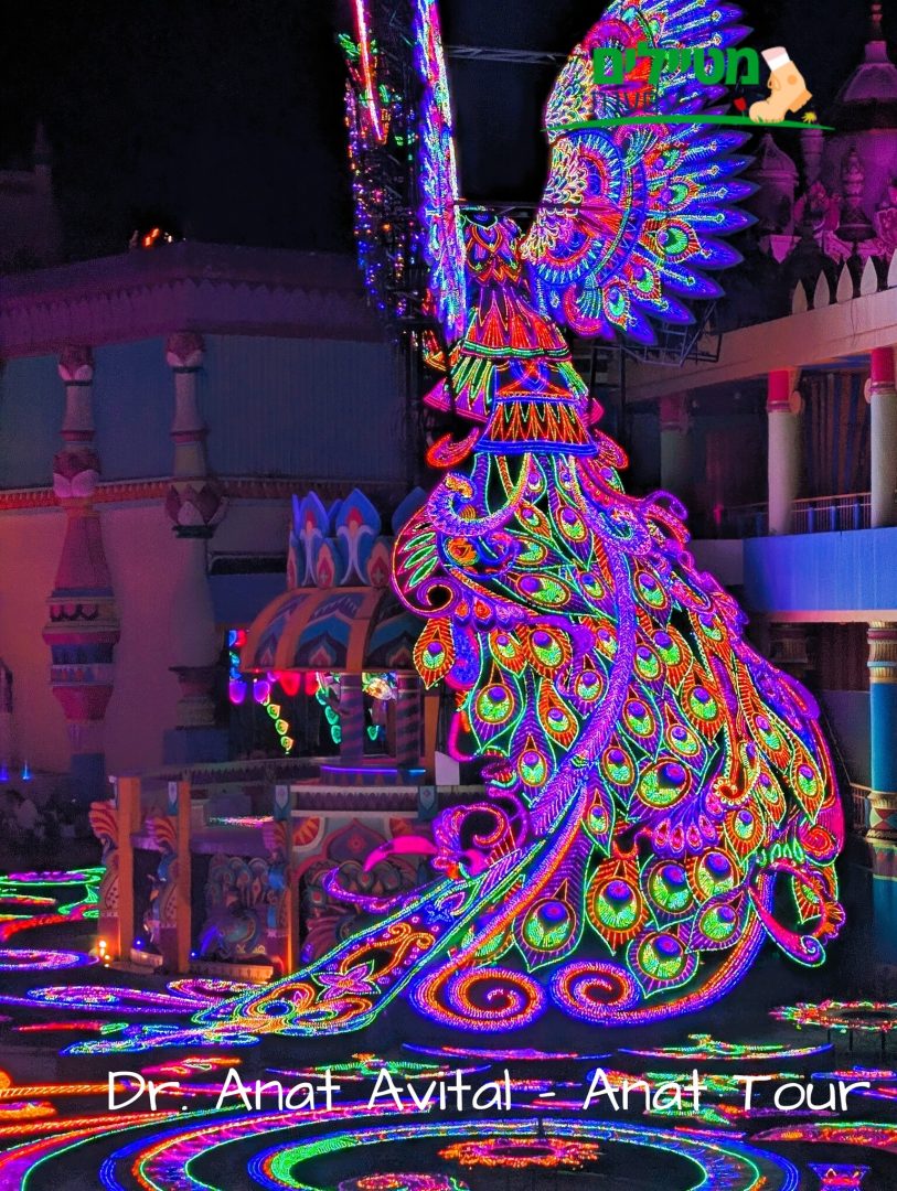 קרנבל האורות Carnival Magic בפוקט עם מיצגי תאורה צבעוניים ומתחם רחב