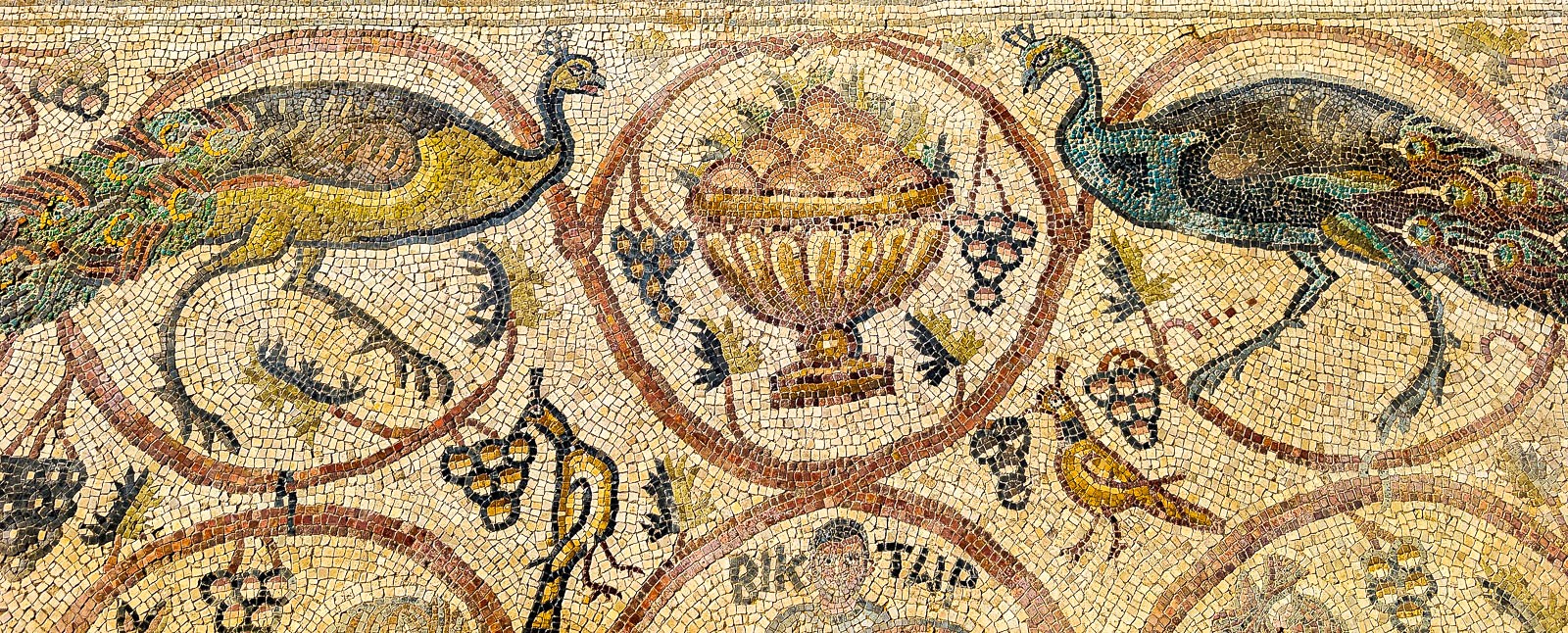 טווסים היראלדיים וקיליקס עם תפוחים אדומים – כנסיית באר שמע