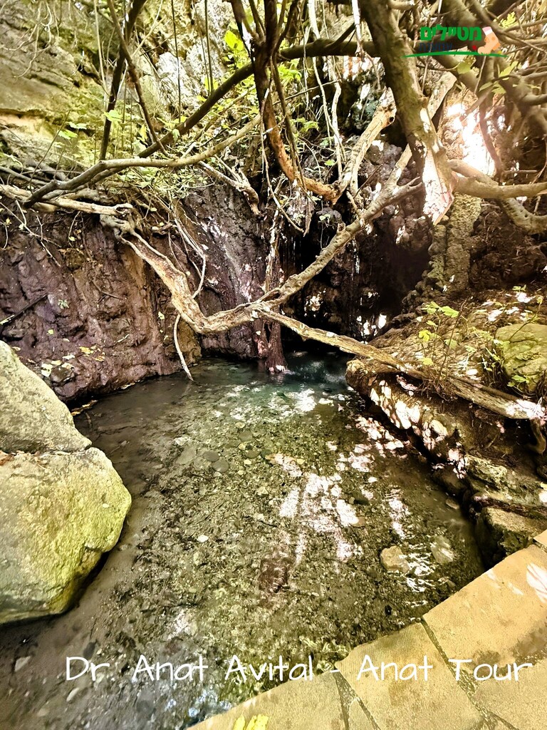 מרחצאות אפרודיטה (Baths of Aphrodite), בחצי האי אקמאס.צילום: ד"ר ענת אביטל
