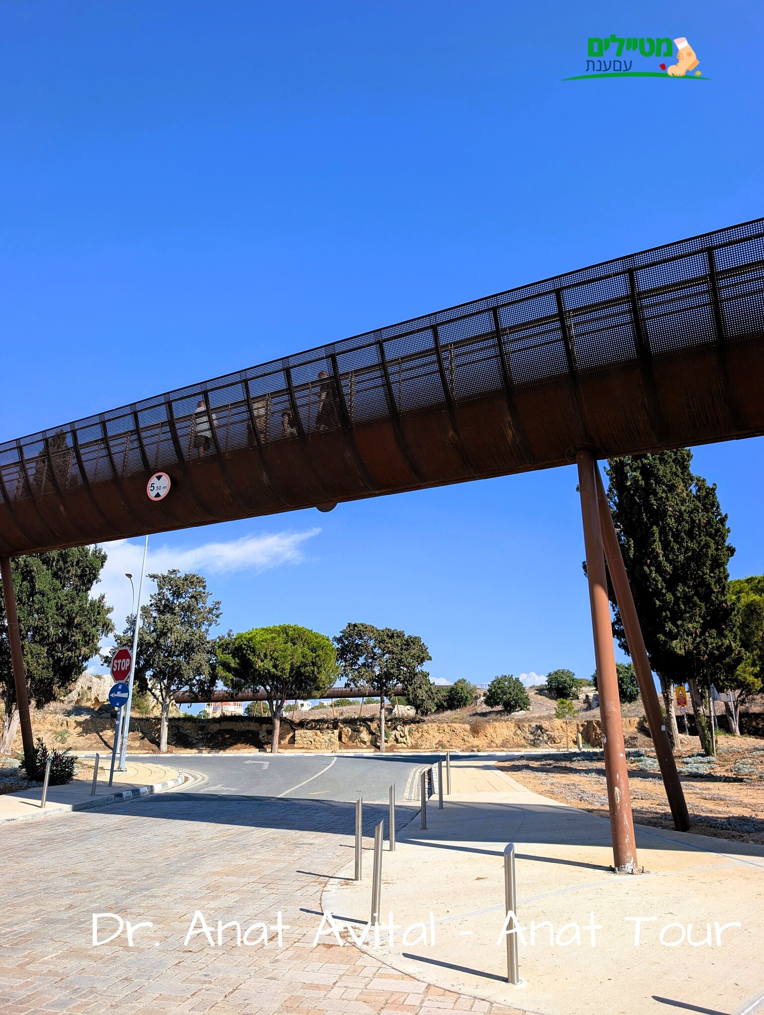 קברי המלכים (Tombs of the Kings) – הנקרופוליס ההלניסטי־רומי של פאפוס. צילום: ד"ר ענת אביטל