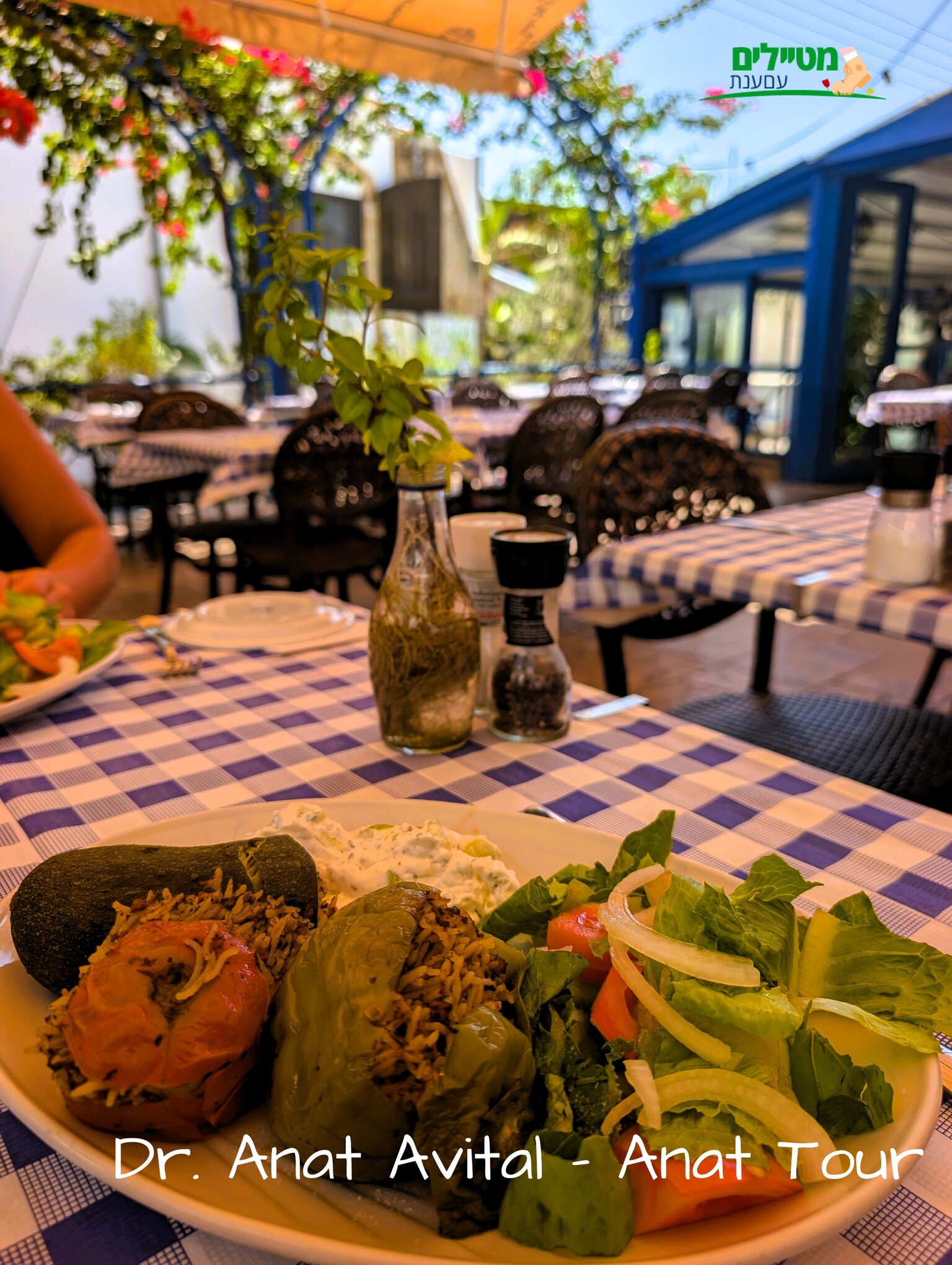 טברנת מוסטקאליס (Moustakallis Tavern), טברנה קפריסאית מעולה בפוליס כריסוכוס, צילום: ד"ר ענת אביטל