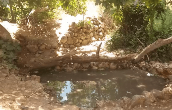 טיולים מומלצים בהרי ירושלים: 3 מסלולים מדהימים לטיול כיף שאסור לכם לפספס